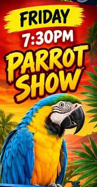 Parrot Show — Scallywags Family Showbar